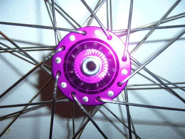 ringle3.webp