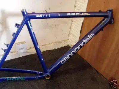 729d_1.webp