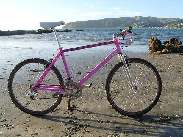 Beach Pace.webp