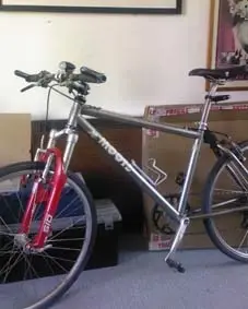 moots1.webp