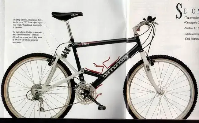 Cannondale Omega.webp