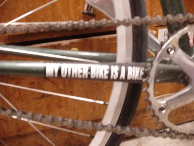 my other bike 005.webp