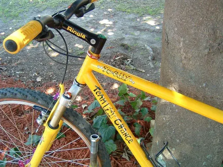 YO-yellow1.webp