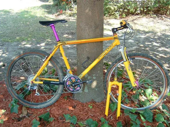 Yo-yellow3.webp