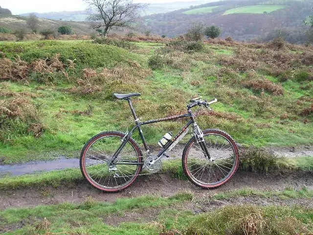 quantock view.webp