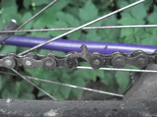 chain.webp