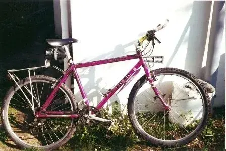 Dad's Trek.webp