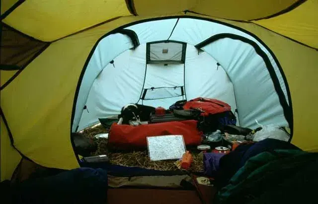 25 Camp 3.webp