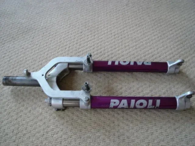 pav (1).webp