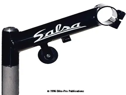 salsa stem.webp