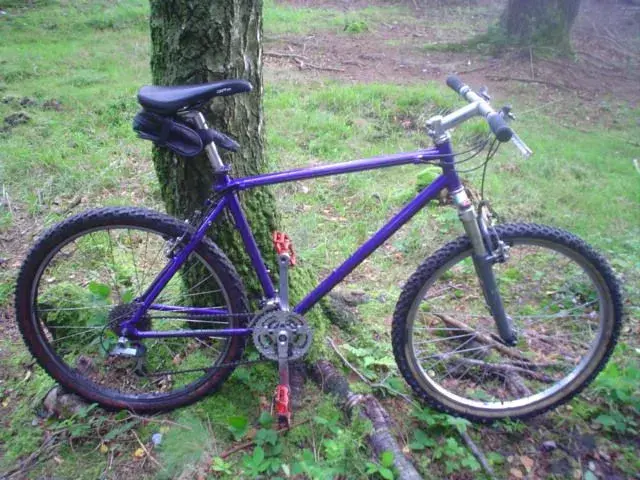 Saracen2 (2).webp