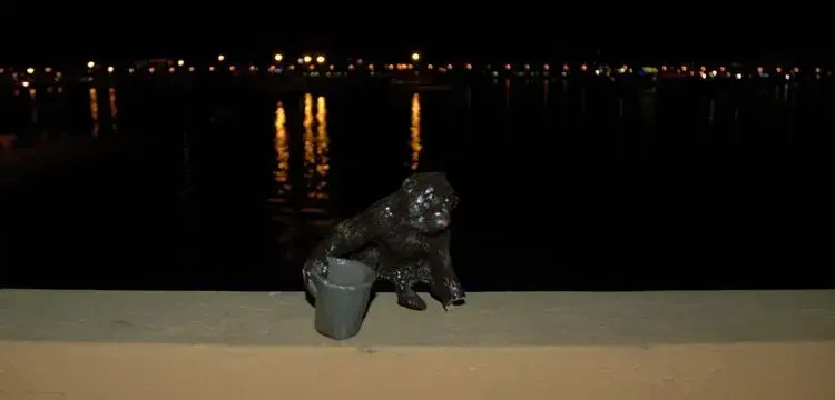 Monkey over Ibiza harbour.webp