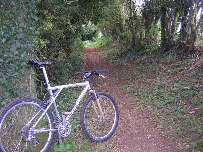Zaskar singletrack.webp