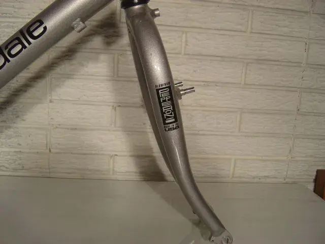 dsc09562.webp