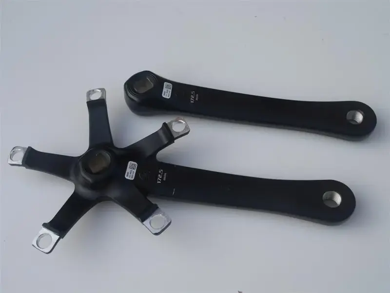 P9070247 (Large).webp