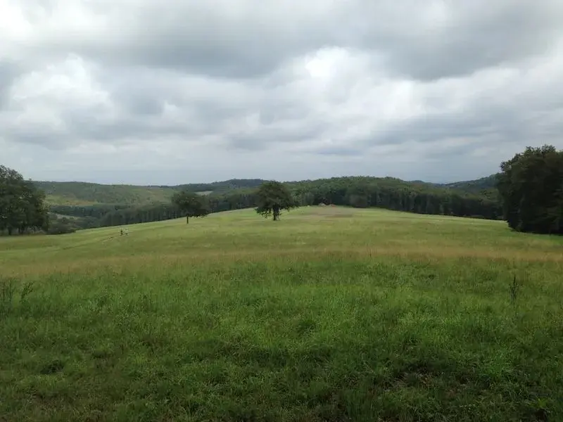 Foto 14.09.14 16 25 03.webp