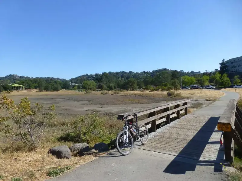 Tidal Wetlands.webp