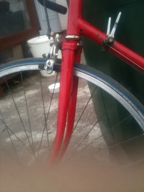 bike5.webp