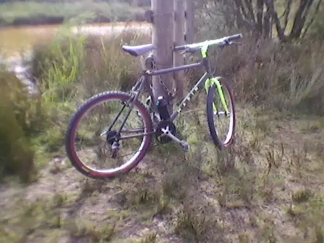 marin2.webp