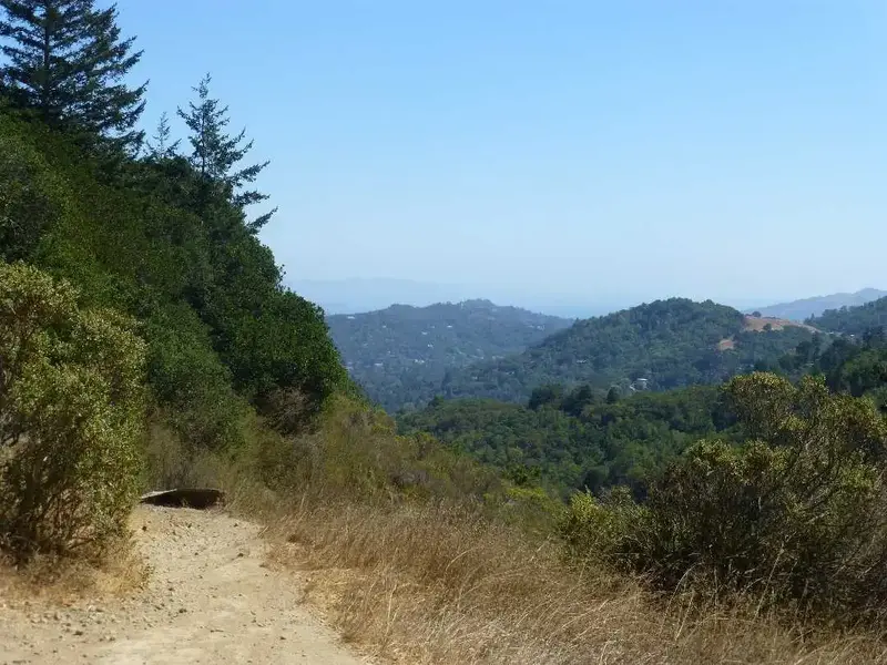 Hazy Summer Day.webp
