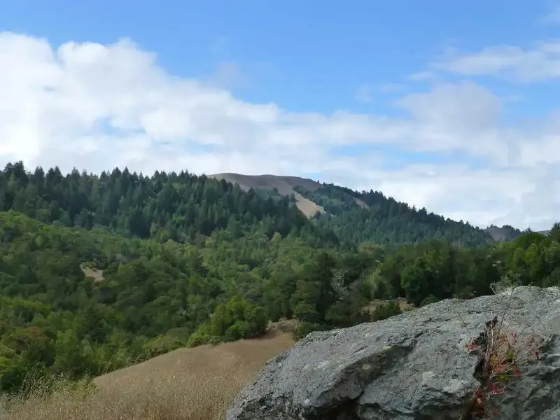 White's Hill.webp
