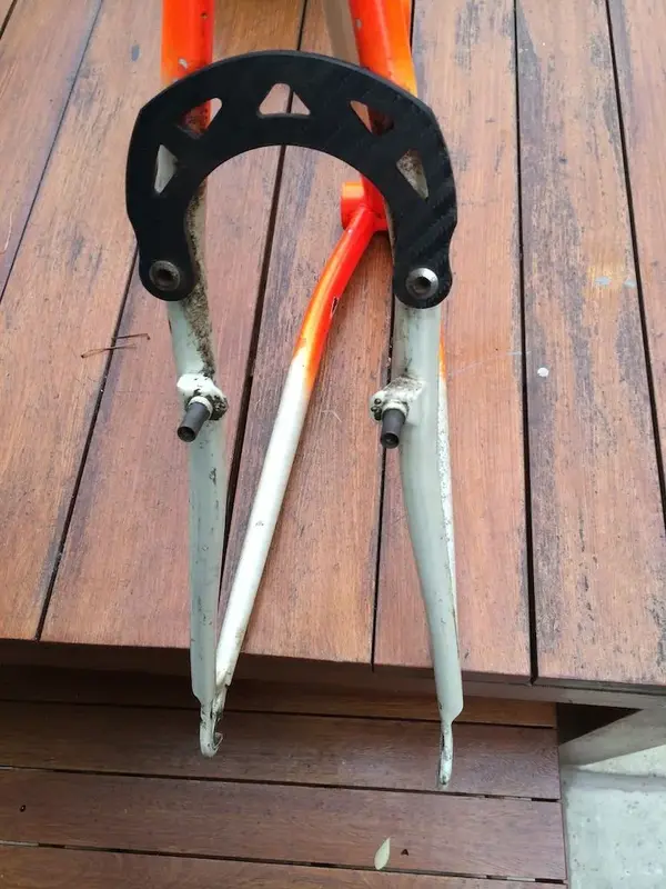 Carbon Bridge Scorpion.webp