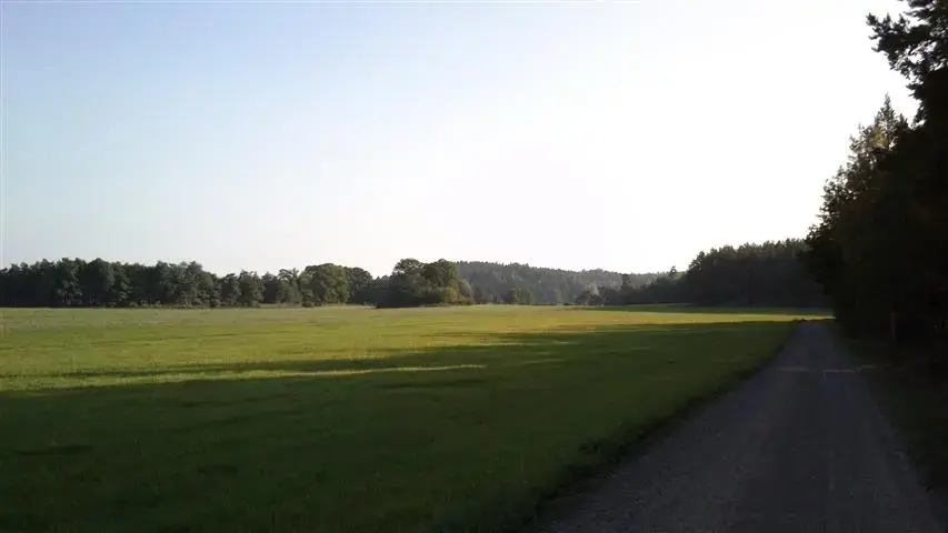field.webp