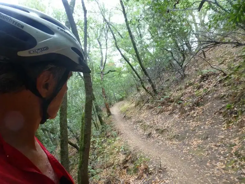 Otis' trail.webp