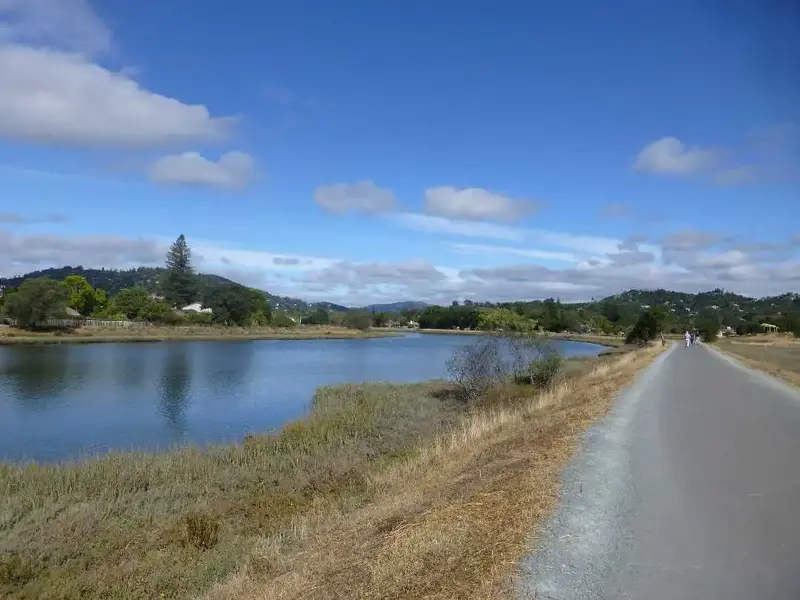 Bike Path.webp