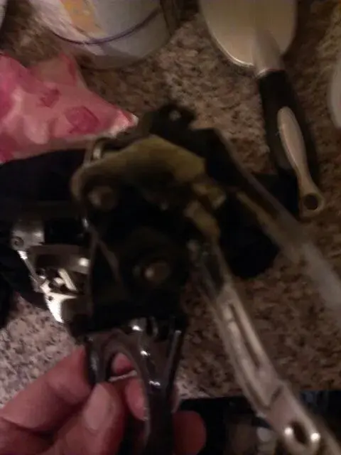 IMAG0827.webp