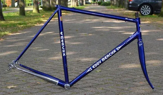 merckx.webp