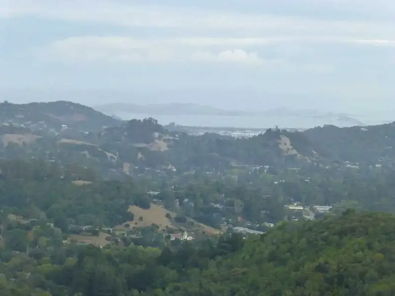 SF Bay in background.webp