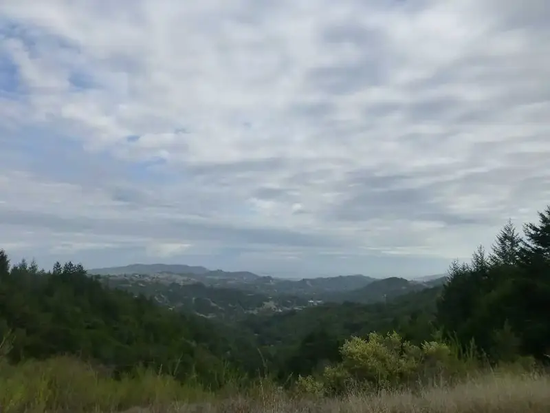 View from the Top.webp