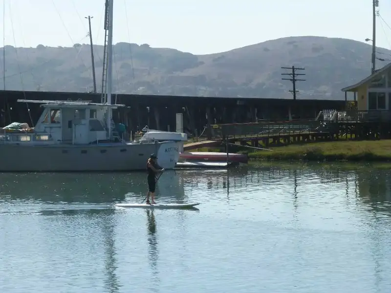 Paddle Board.webp