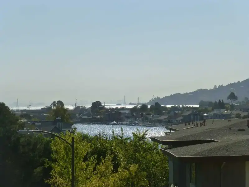 Creek into the Bay.webp