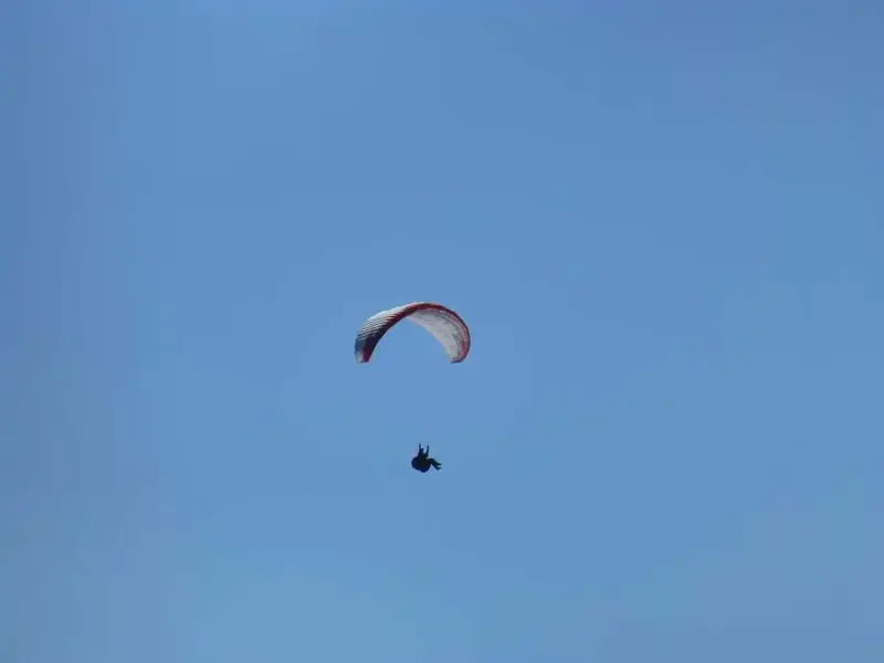 Parasailer.webp