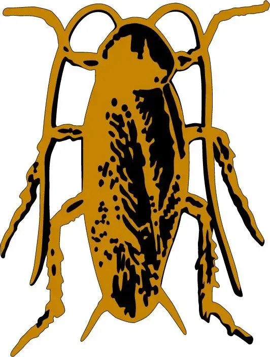 Cockroach1.webp