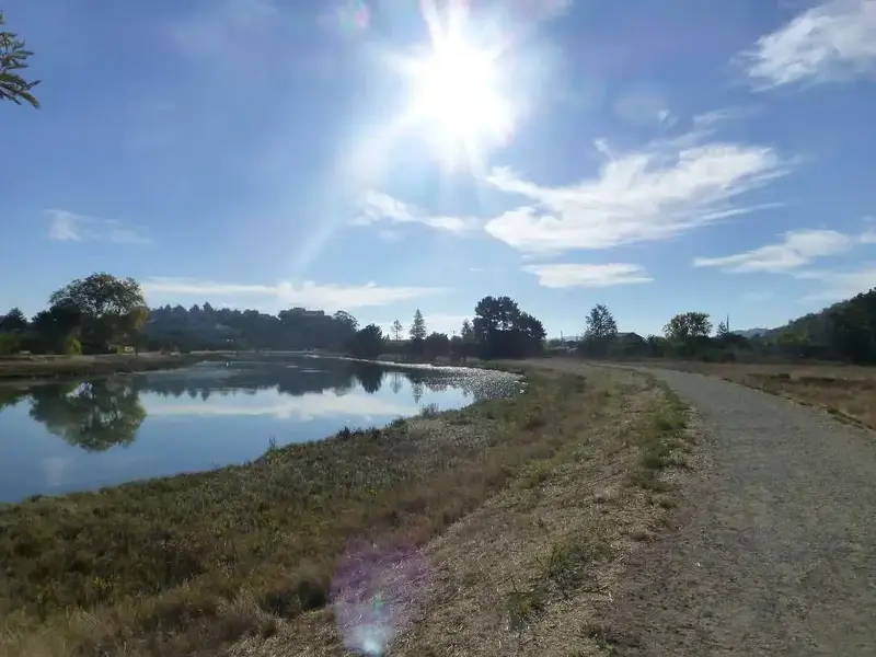 Corte Madera Creek.webp