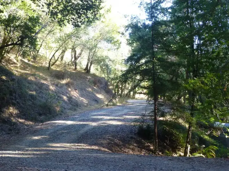 Shaver Grade.webp
