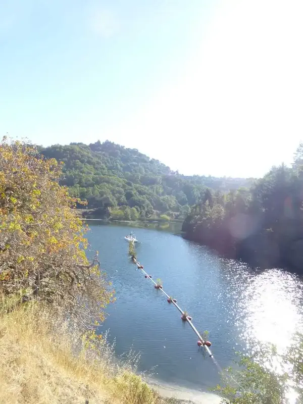 Phoenix Lake.webp