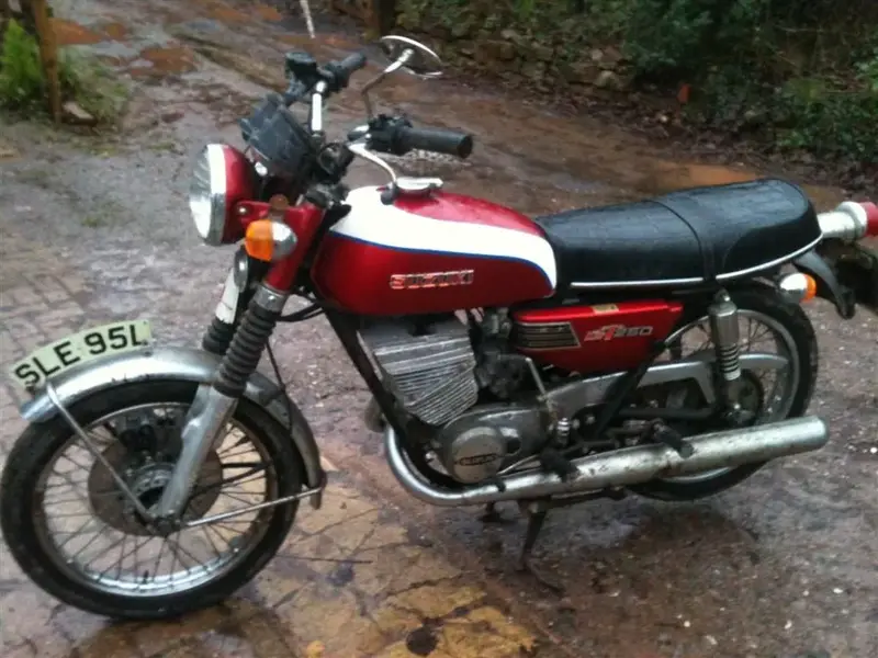 suzuki 1 (Large).webp