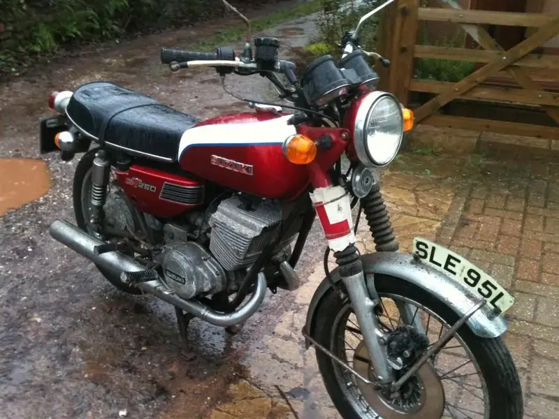 suzuki 2 (Large).webp