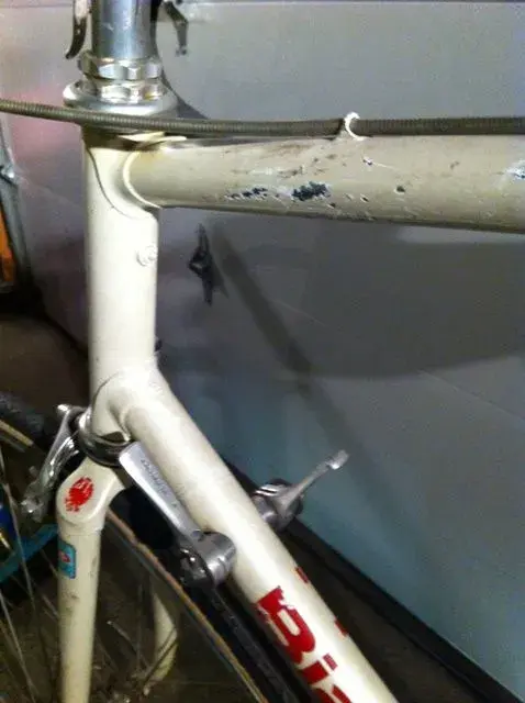 photo 3web.webp