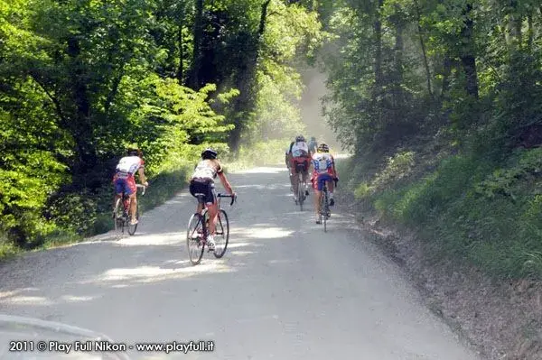 11bartoli_0648_t.webp
