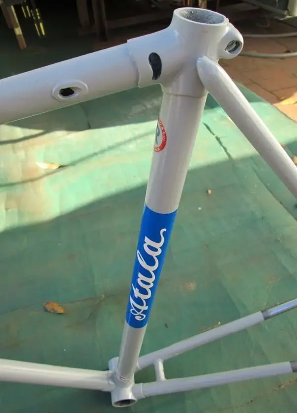 seattube.webp