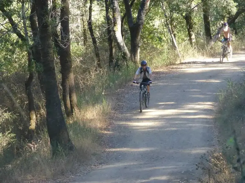 climbing.webp