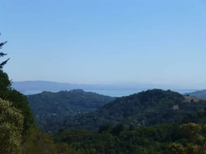 SF Bay.webp