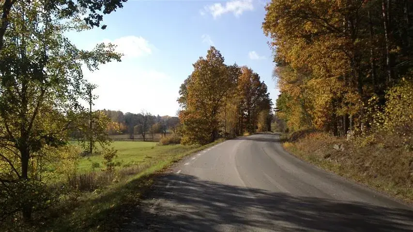 road.webp
