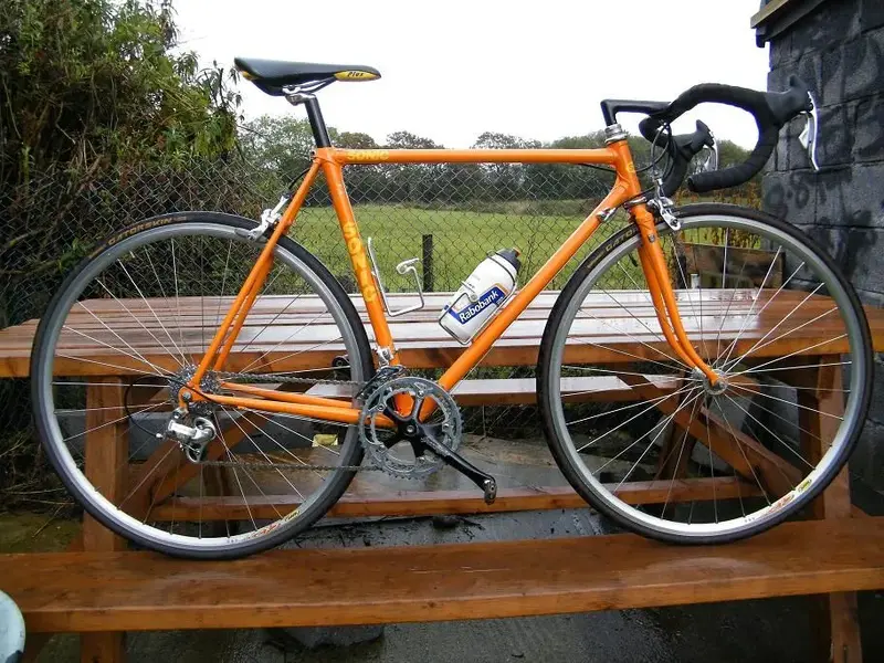 Sonic campag 100.webp