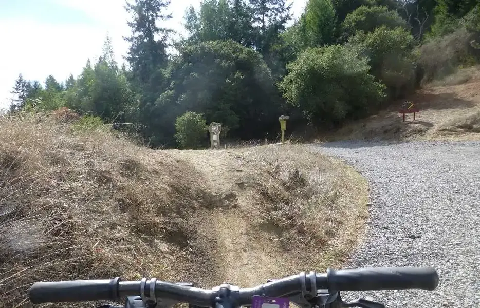 Onto the trail.webp